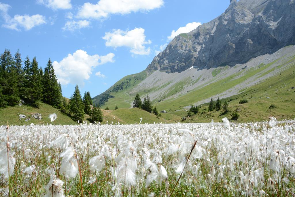 Hotel Hari Im Schlegeli Adelboden Kültér fotó