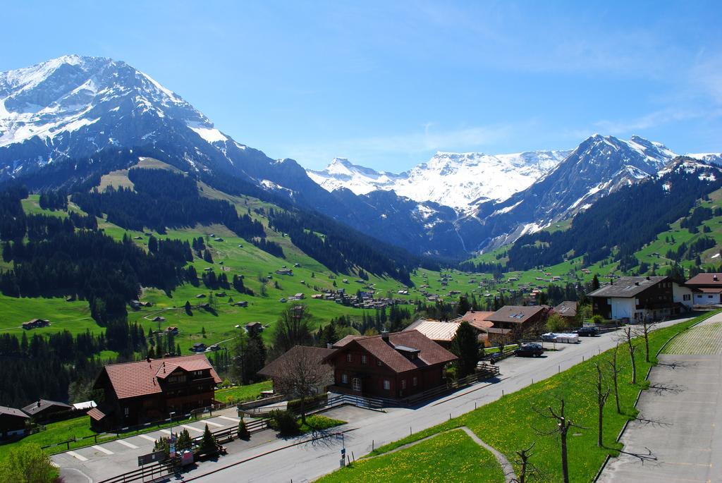 Hotel Hari Im Schlegeli Adelboden Kültér fotó