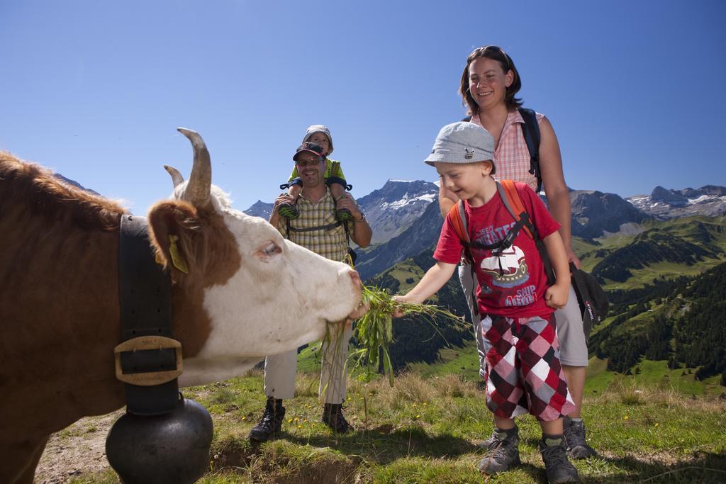 Hotel Hari Im Schlegeli Adelboden Kültér fotó