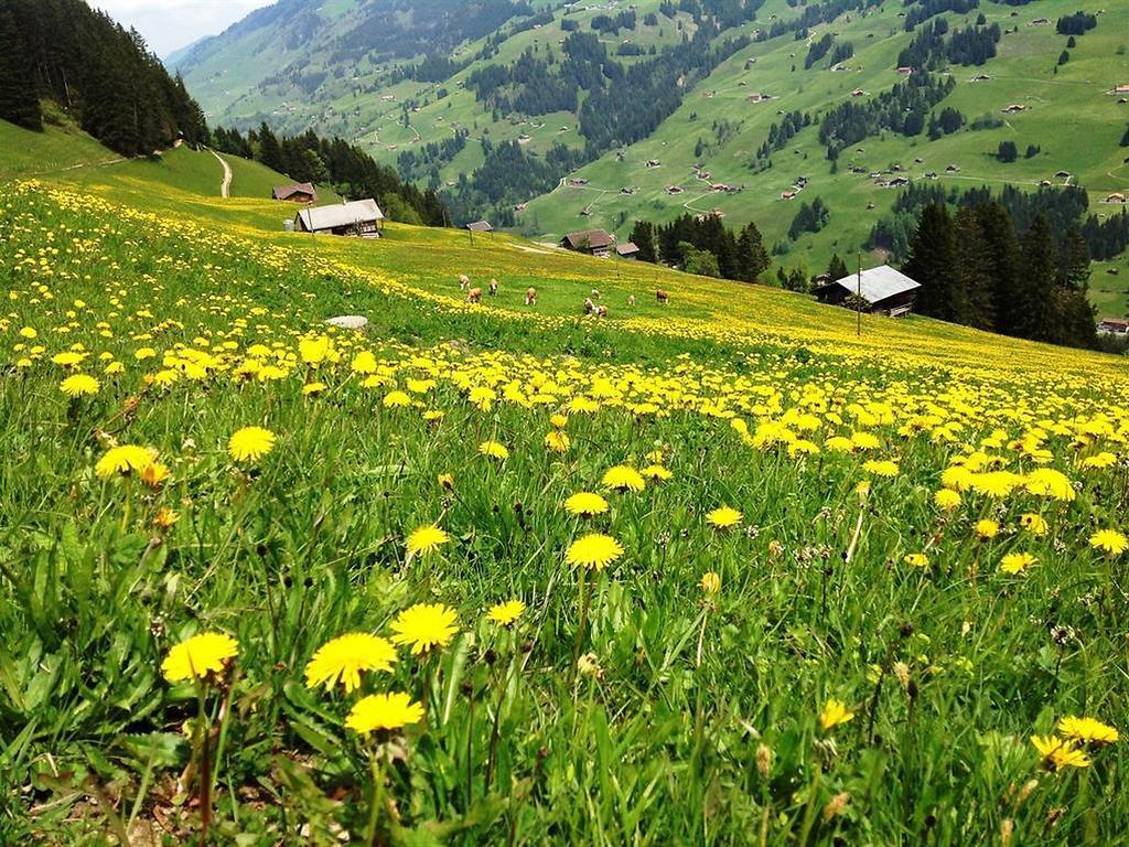 Hotel Hari Im Schlegeli Adelboden Kültér fotó