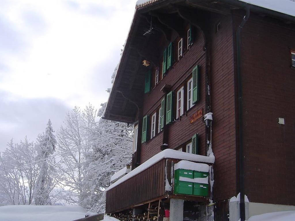 Hotel Hari Im Schlegeli Adelboden Kültér fotó