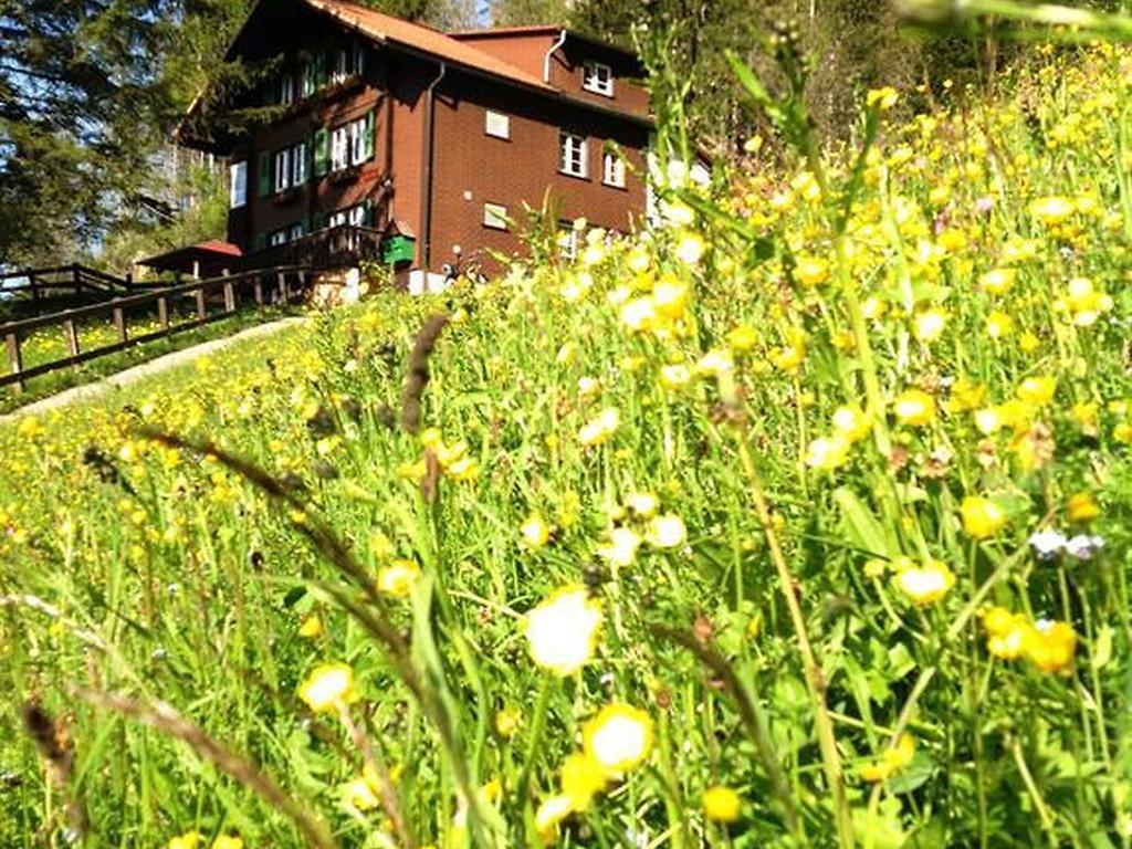 Hotel Hari Im Schlegeli Adelboden Kültér fotó